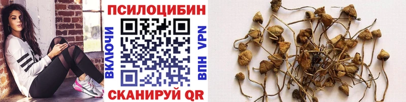 Галлюциногенные грибы GOLDEN TEACHER  Арск 